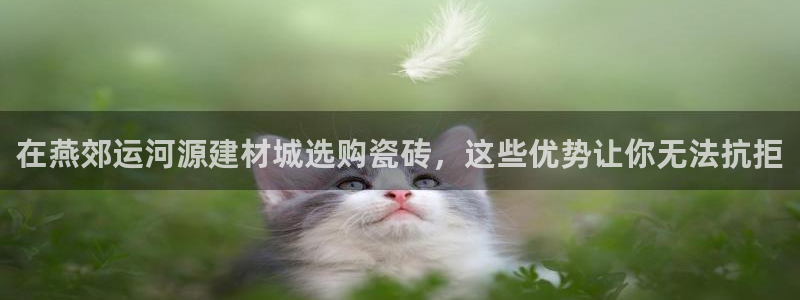 杏鑫平台直属