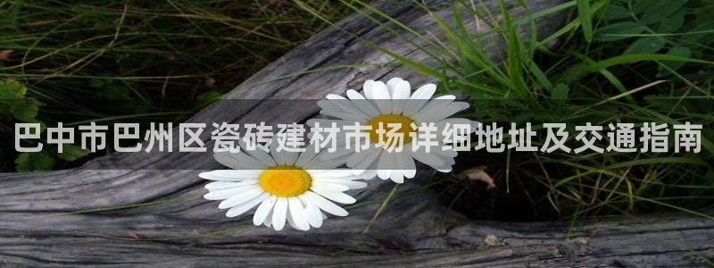 杏鑫平台招商电话是多少