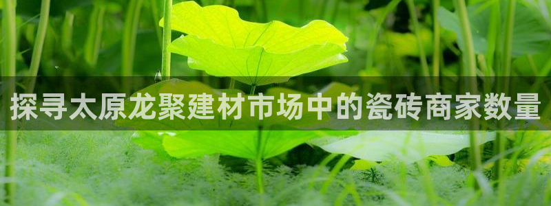 杏鑫平台是黑平台吗
