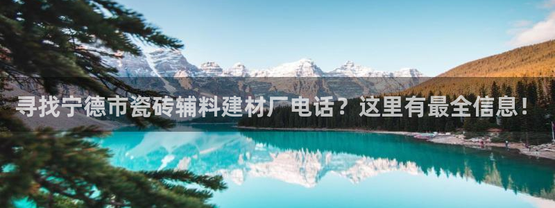 杏鑫娱乐开发团队