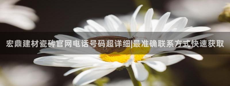 杏鑫官方平台怎么样啊安全吗