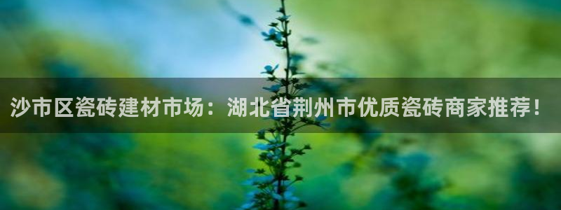 杏鑫官方平台怎么样可靠吗