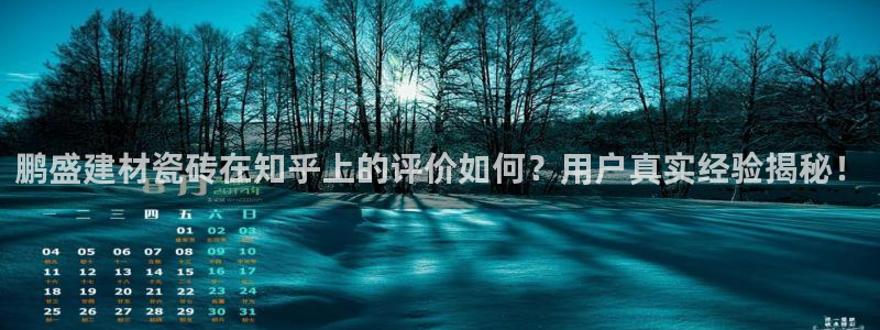 杏鑫3主管