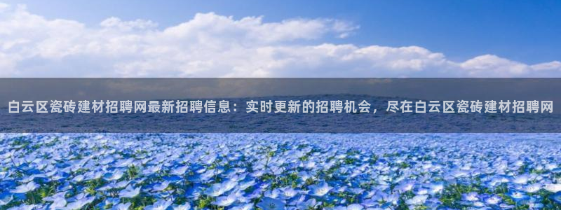 杏鑫娱乐开发团队