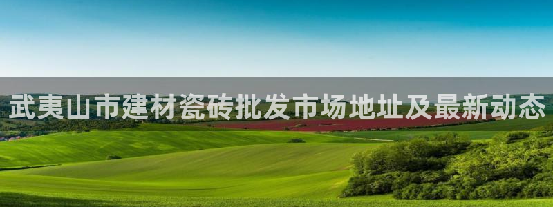 杏鑫平台代理怎么做