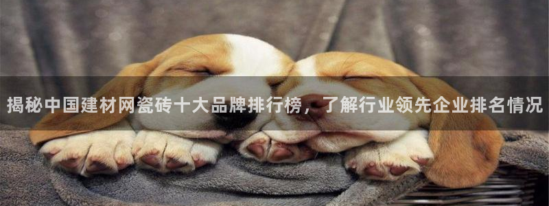 杏鑫平台线路测速