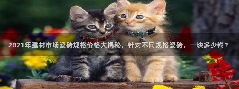 杏鑫平台念7O777