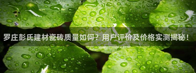 杏鑫官网