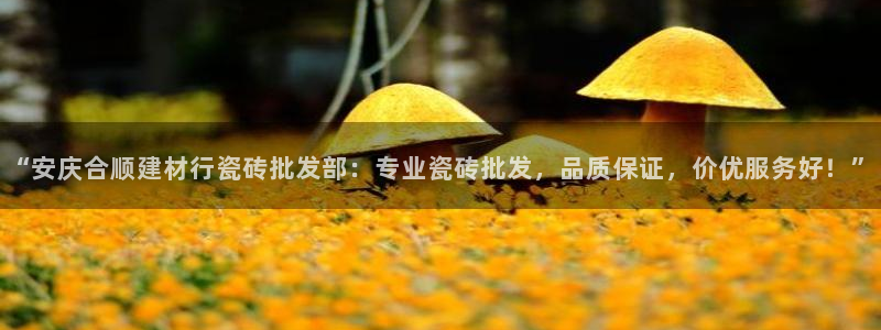 杏鑫平台直属哪个公司