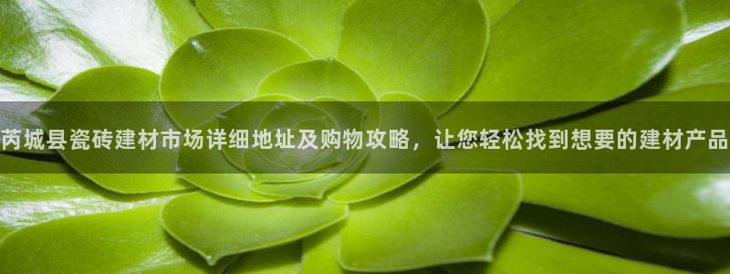 杏鑫平台登陆