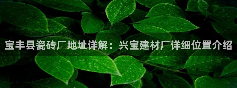 杏鑫招商总代