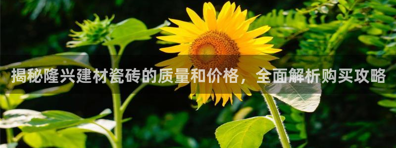 杏鑫平台怎么样黑钱吗