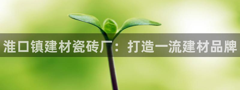 杏鑫平台号7O777