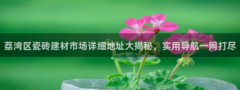 杏鑫平台官方网站
