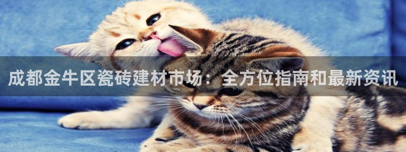 杏鑫平台平台娱乐