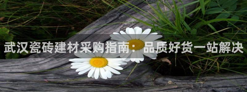 杏鑫主管