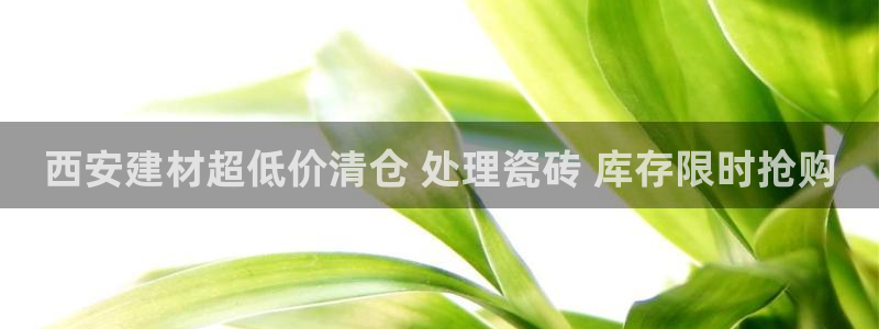 杏鑫官网注册账号