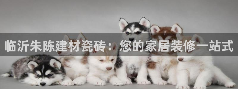 杏鑫注册平台官方网站是什么