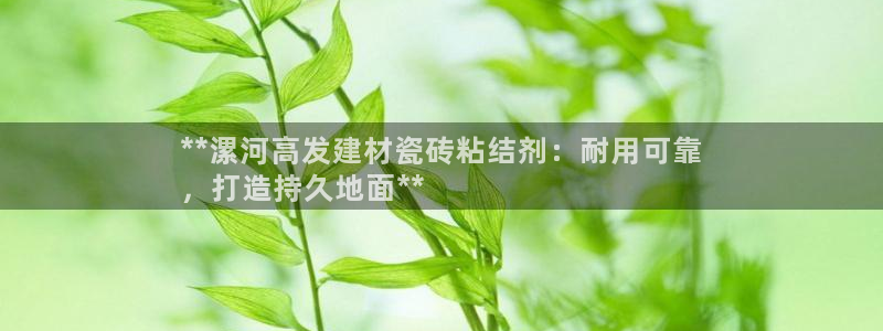 杏鑫平台登录