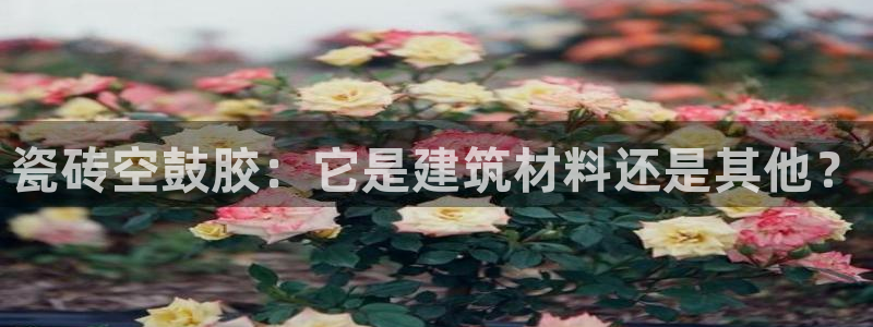 杏鑫娱乐-官方网站