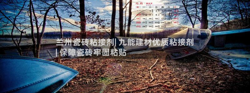 杏鑫平台平台娱乐