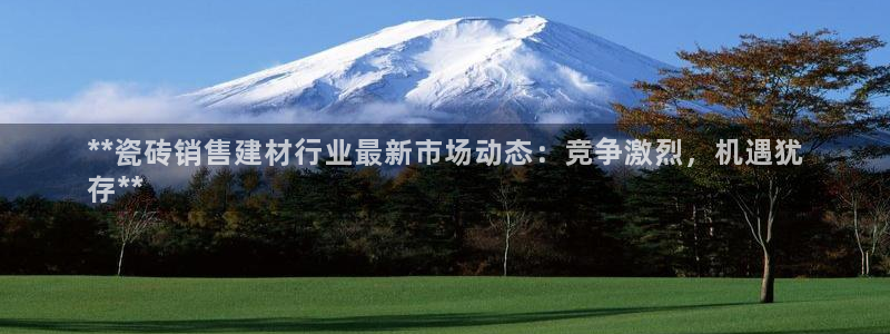 杏鑫官方平台怎么样