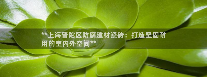 杏鑫注册