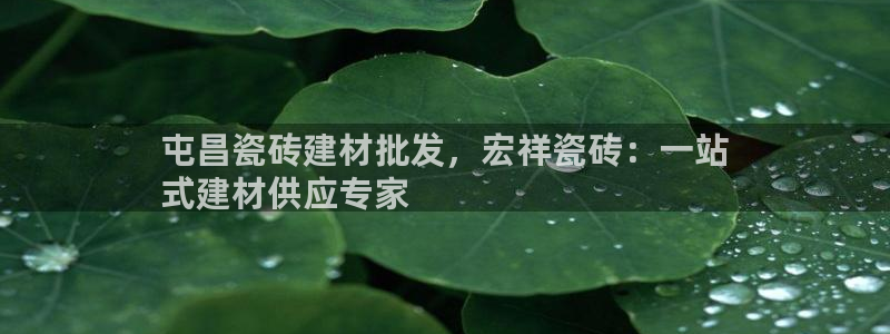 杏鑫平台注册入口