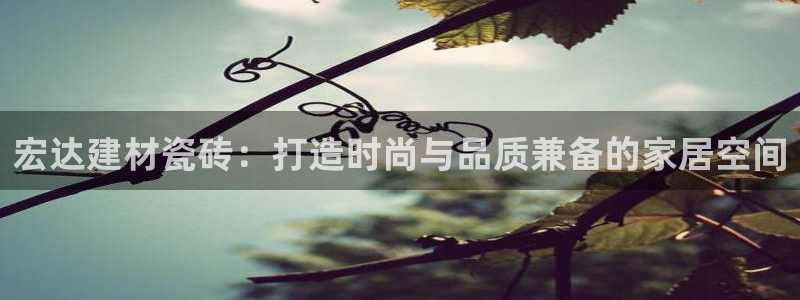 杏鑫官方平台怎么样啊