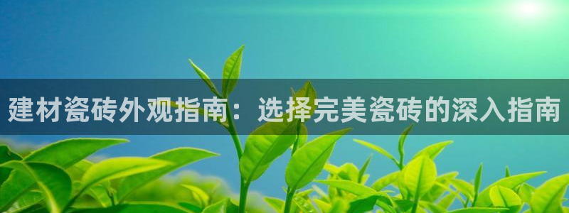杏鑫平台下载安装