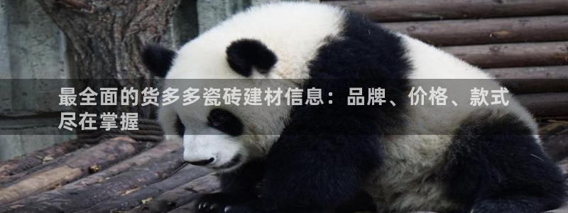 杏鑫手机客户端怎么下载