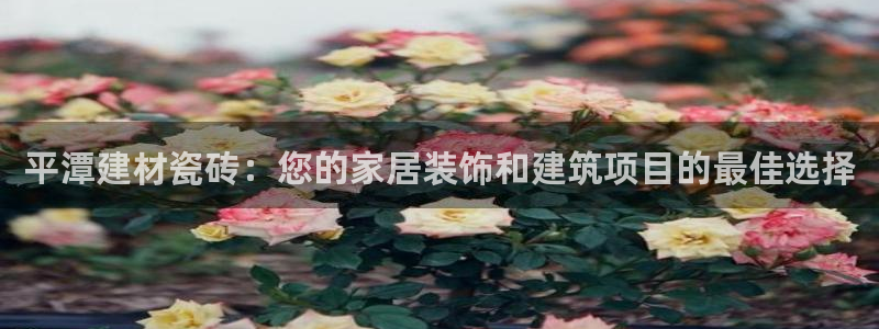 杏鑫平台怎么样黑钱吗