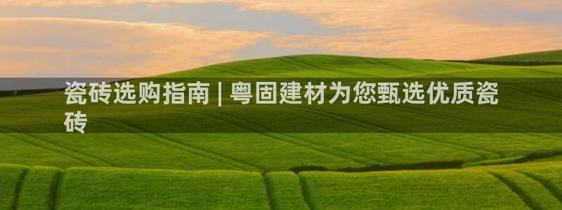 杏鑫平台下载安装