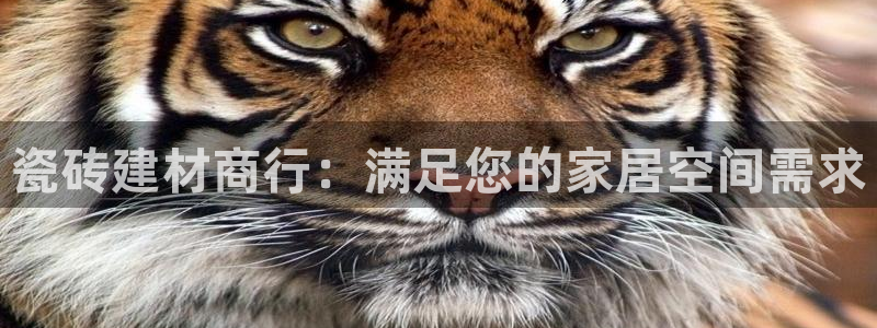 杏鑫主管