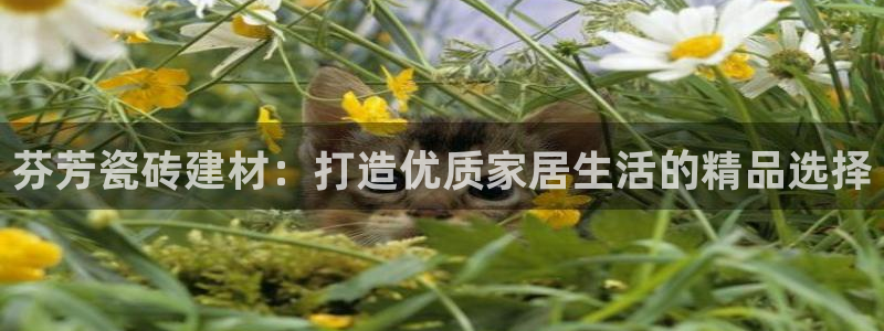 杏鑫娱乐官网