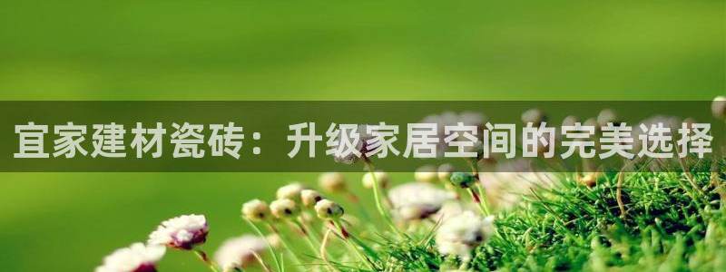 杏鑫平台招商电话号码是多少