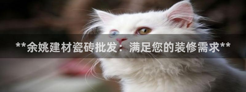 杏鑫3主管