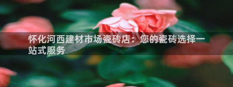 杏鑫平台招商电话是多少