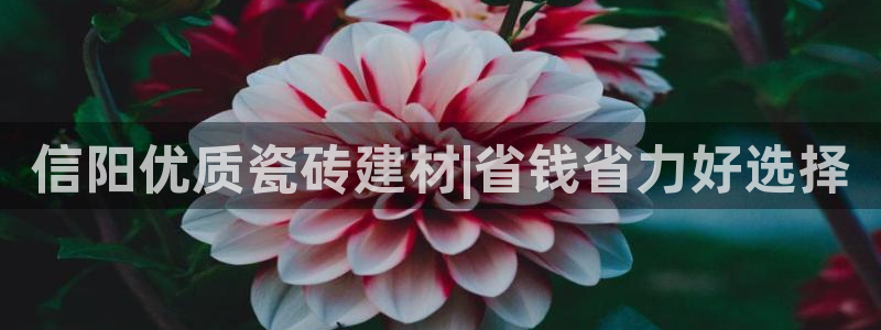 杏鑫娱乐官方网站客户端下载