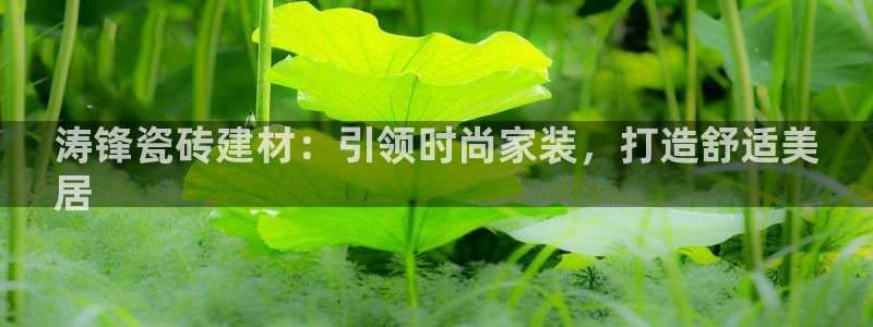 杏鑫娱乐平台测速怎么样