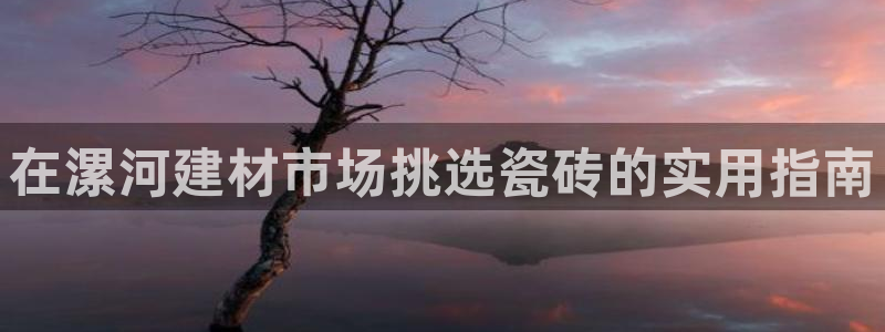 杏鑫官网
