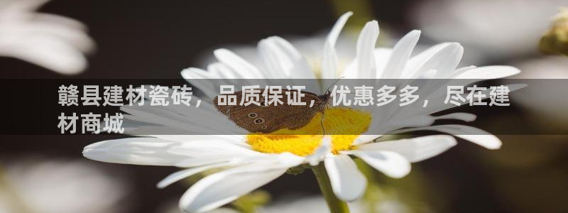 杏鑫主管