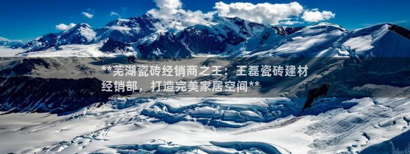 杏鑫有亏损返点吗