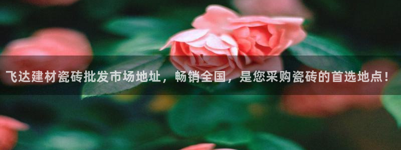 杏鑫平台代理怎么样