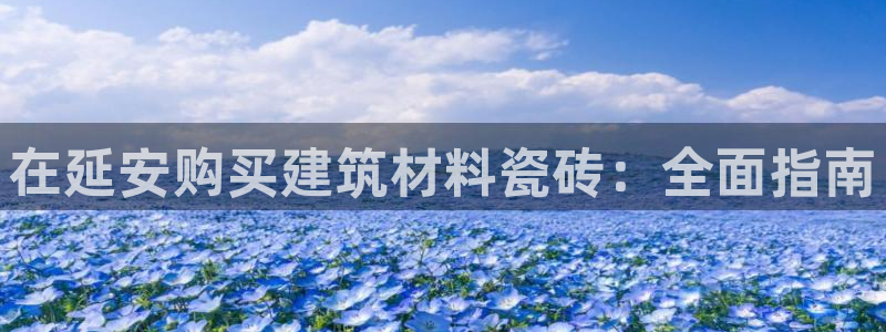 杏鑫娱乐负责人