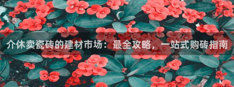 杏鑫平台线路测速