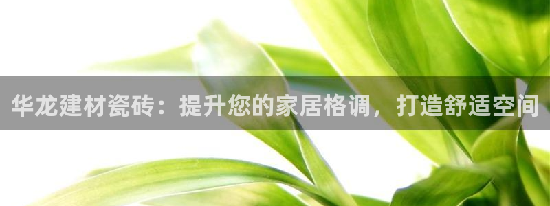 杏鑫娱乐怎么样