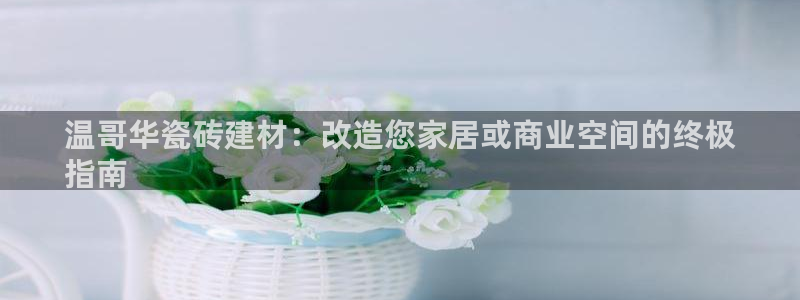 杏鑫平台招商怎么样
