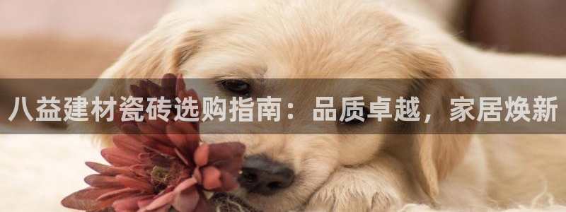 杏鑫平台直属哪个公司