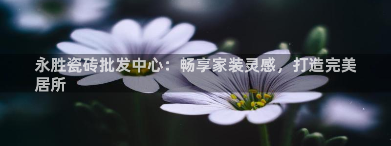 杏鑫平台招商怎么样啊